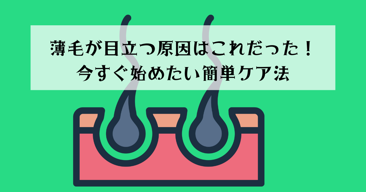 薄毛が目立つ原因はこれだった！今すぐ始めたい簡単ケア法